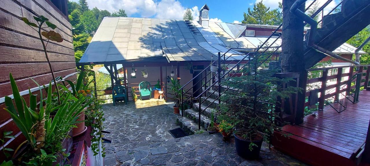 Casa Cristina_ Cabana Buşteni Екстериор снимка